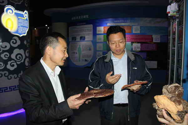 杭州亞運會官方靈芝產(chǎn)品供應(yīng)商|杭州亞運會官方供應(yīng)商|中國靈芝十大品牌|仙客來靈芝|仙客來靈芝破壁孢子粉|仙客來孢子油|仙客來靈芝飲片|仙客來破壁孢子粉|靈芝孢子油|孢子粉|靈芝破壁孢子粉|靈芝|中華老字號 杭州亞運會官方靈芝產(chǎn)品供應(yīng)商|杭州亞運會官方供應(yīng)商|中國靈芝十大品牌|仙客來靈芝|仙客來靈芝破壁孢子粉|仙客來孢子油|仙客來靈芝飲片|仙客來破壁孢子粉|靈芝孢子油|孢子粉|靈芝破壁孢子粉|靈芝|中華老字號