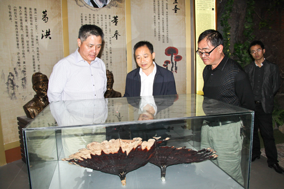 杭州亞運(yùn)會(huì)官方靈芝產(chǎn)品供應(yīng)商|杭州亞運(yùn)會(huì)官方供應(yīng)商|中國靈芝十大品牌|仙客來靈芝|仙客來靈芝破壁孢子粉|仙客來孢子油|仙客來靈芝飲片|仙客來破壁孢子粉|靈芝孢子油|孢子粉|靈芝破壁孢子粉|靈芝|中華老字號