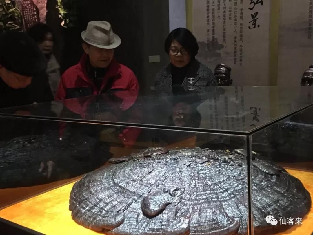 中國靈芝十大品牌|仙客來靈芝|仙客來靈芝破壁孢子粉|仙客來孢子油|仙客來靈芝飲片|仙客來破壁孢子粉|仙客來靈芝中藥飲片|馳名商標(biāo)|www.arbitrageadvisers.com|