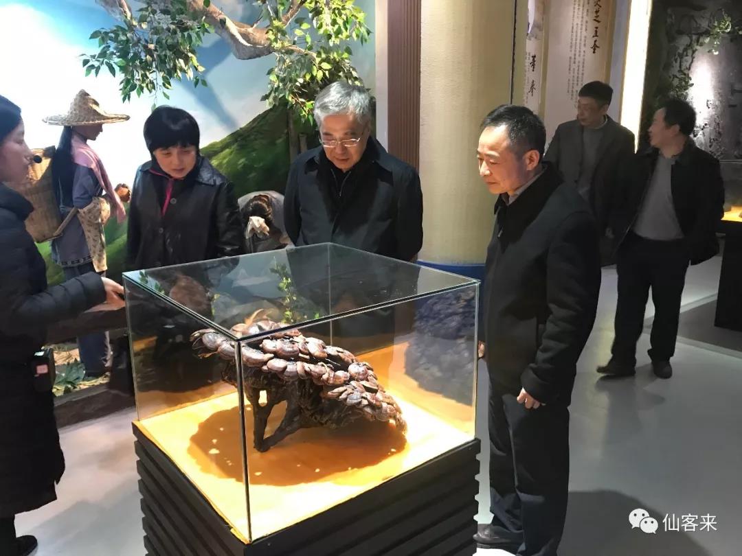 中國靈芝十大品牌|仙客來靈芝|仙客來靈芝破壁孢子粉|仙客來孢子油|仙客來靈芝飲片|仙客來破壁孢子粉|仙客來靈芝中藥飲片|馳名商標(biāo)|www.arbitrageadvisers.com|