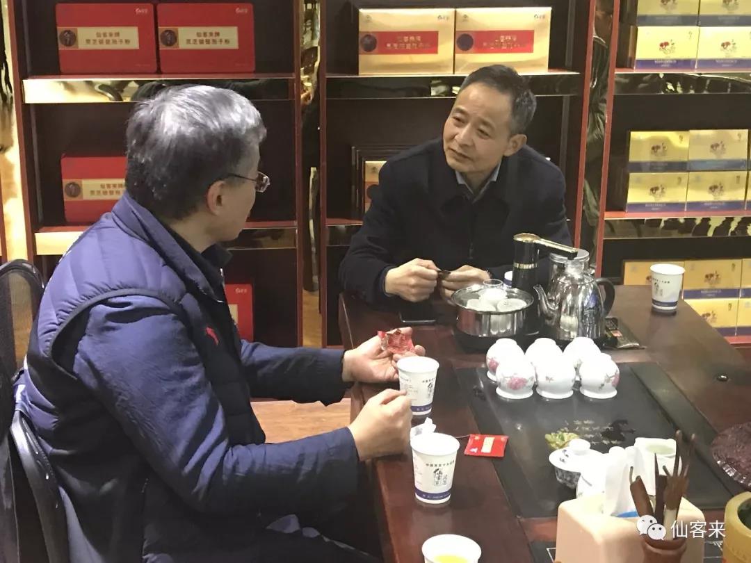 杭州亞運(yùn)會(huì)官方靈芝產(chǎn)品供應(yīng)商|杭州亞運(yùn)會(huì)官方供應(yīng)商|中國靈芝十大品牌|仙客來靈芝|仙客來靈芝破壁孢子粉|仙客來孢子油|仙客來靈芝飲片|仙客來破壁孢子粉|靈芝孢子油|孢子粉|靈芝破壁孢子粉|靈芝|中華老字號(hào)