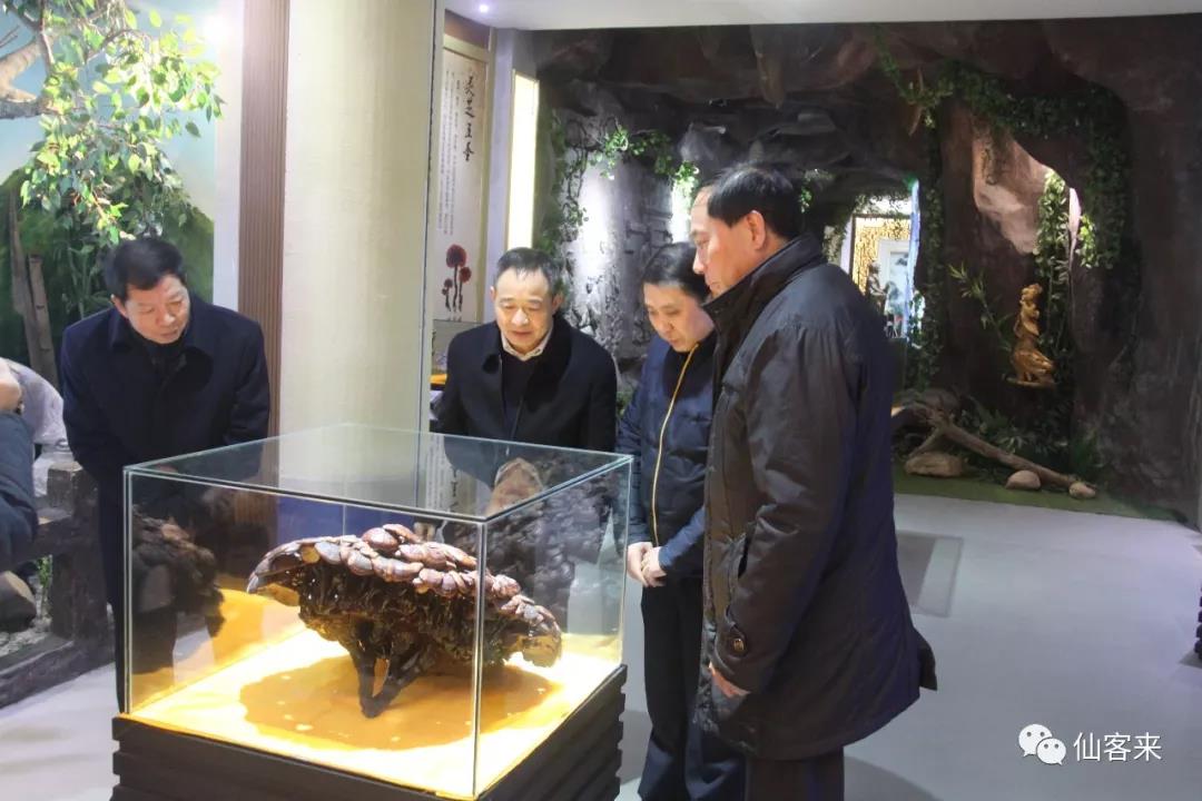 中國靈芝十大品牌|仙客來靈芝|仙客來靈芝破壁孢子粉|仙客來孢子油|仙客來靈芝飲片|仙客來破壁孢子粉|仙客來靈芝中藥飲片|馳名商標(biāo)|www.arbitrageadvisers.com|