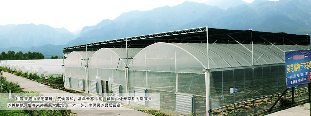 中國靈芝十大品牌|仙客來靈芝|仙客來靈芝破壁孢子粉|仙客來孢子油|仙客來靈芝飲片|仙客來破壁孢子粉|仙客來靈芝中藥飲片|馳名商標|www.arbitrageadvisers.com|