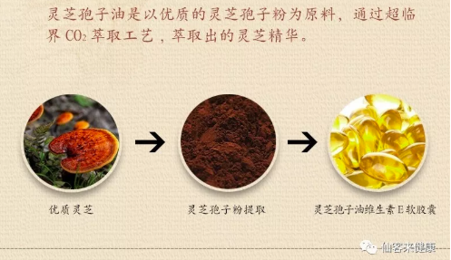 中國靈芝十大品牌|仙客來靈芝|仙客來靈芝破壁孢子粉|仙客來孢子油|仙客來靈芝飲片|仙客來破壁孢子粉|仙客來靈芝中藥飲片|馳名商標|www.arbitrageadvisers.com|