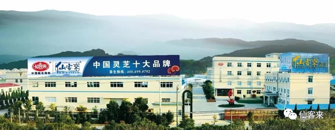 杭州亞運(yùn)會(huì)官方靈芝產(chǎn)品供應(yīng)商|杭州亞運(yùn)會(huì)官方供應(yīng)商|中國靈芝十大品牌|仙客來靈芝|仙客來靈芝破壁孢子粉|仙客來孢子油|仙客來靈芝飲片|仙客來破壁孢子粉|靈芝孢子油|孢子粉|靈芝破壁孢子粉|靈芝|中華老字號(hào)