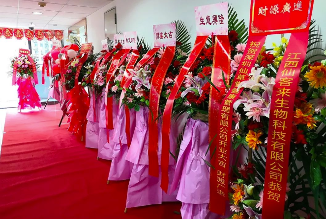 中國靈芝十大品牌|仙客來靈芝|仙客來靈芝破壁孢子粉|仙客來孢子油|仙客來靈芝飲片|仙客來破壁孢子粉|仙客來靈芝中藥飲片|馳名商標|www.arbitrageadvisers.com|