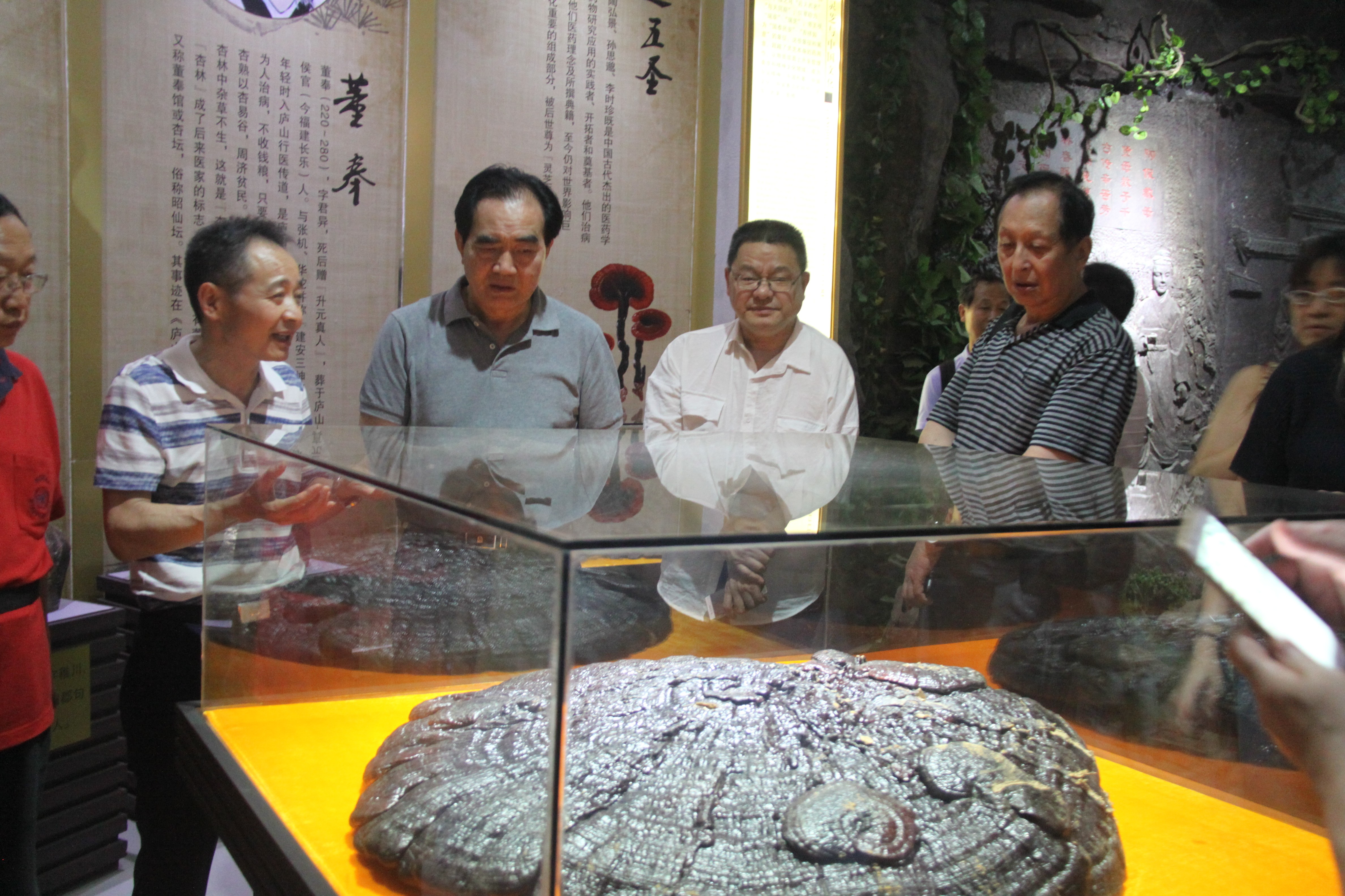 中國(guó)靈芝十大品牌|仙客來靈芝|仙客來靈芝破壁孢子粉|仙客來孢子油|仙客來靈芝飲片|仙客來破壁孢子粉|仙客來靈芝中藥飲片|馳名商標(biāo)|www.arbitrageadvisers.com|