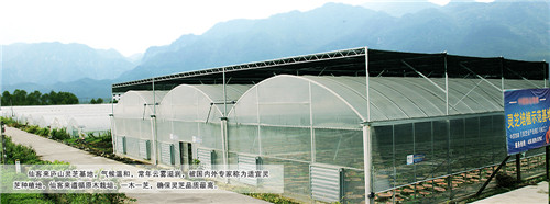中國靈芝十大品牌|仙客來靈芝|仙客來靈芝破壁孢子粉|仙客來孢子油|仙客來靈芝飲片|仙客來破壁孢子粉|仙客來靈芝中藥飲片|馳名商標(biāo)|www.arbitrageadvisers.com|