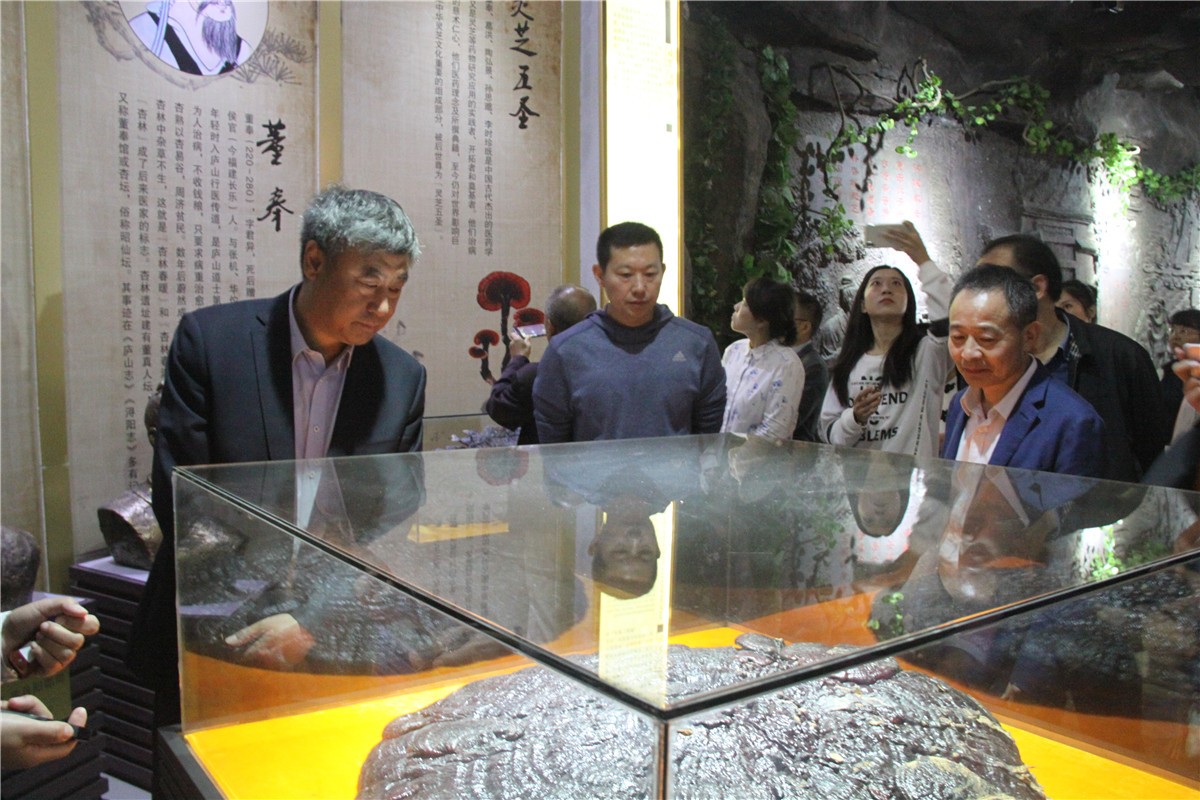 中國靈芝十大品牌|仙客來靈芝|仙客來靈芝破壁孢子粉|仙客來孢子油|仙客來靈芝飲片|仙客來破壁孢子粉|仙客來靈芝中藥飲片|馳名商標|www.arbitrageadvisers.com|