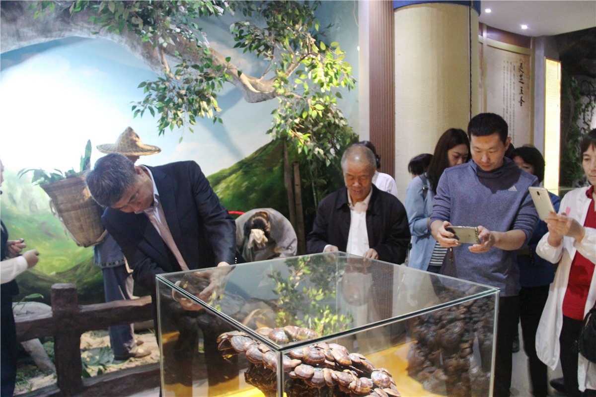 中國靈芝十大品牌|仙客來靈芝|仙客來靈芝破壁孢子粉|仙客來孢子油|仙客來靈芝飲片|仙客來破壁孢子粉|仙客來靈芝中藥飲片|馳名商標|www.arbitrageadvisers.com|