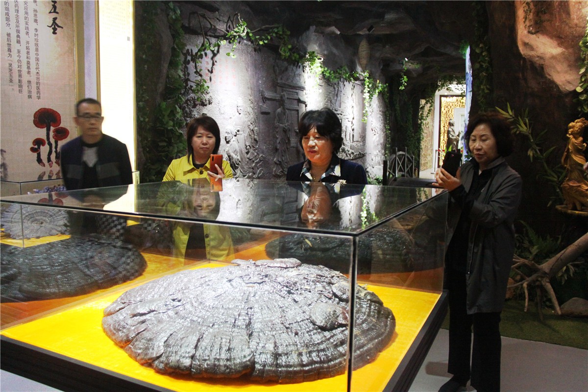 中國(guó)靈芝十大品牌|仙客來(lái)靈芝|仙客來(lái)靈芝破壁孢子粉|仙客來(lái)孢子油|仙客來(lái)靈芝飲片|仙客來(lái)破壁孢子粉|仙客來(lái)靈芝中藥飲片|馳名商標(biāo)|www.arbitrageadvisers.com|