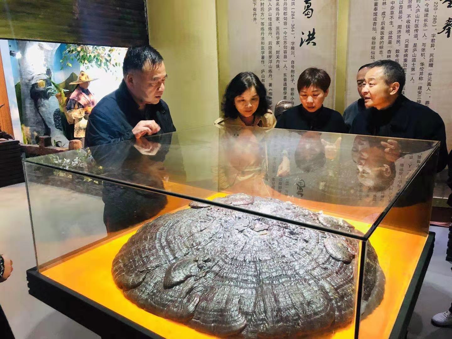 杭州亞運(yùn)會(huì)官方靈芝產(chǎn)品供應(yīng)商|杭州亞運(yùn)會(huì)官方供應(yīng)商|中國靈芝十大品牌|仙客來靈芝|仙客來靈芝破壁孢子粉|仙客來孢子油|仙客來靈芝飲片|仙客來破壁孢子粉|靈芝孢子油|孢子粉|靈芝破壁孢子粉|靈芝|中華老字號(hào)