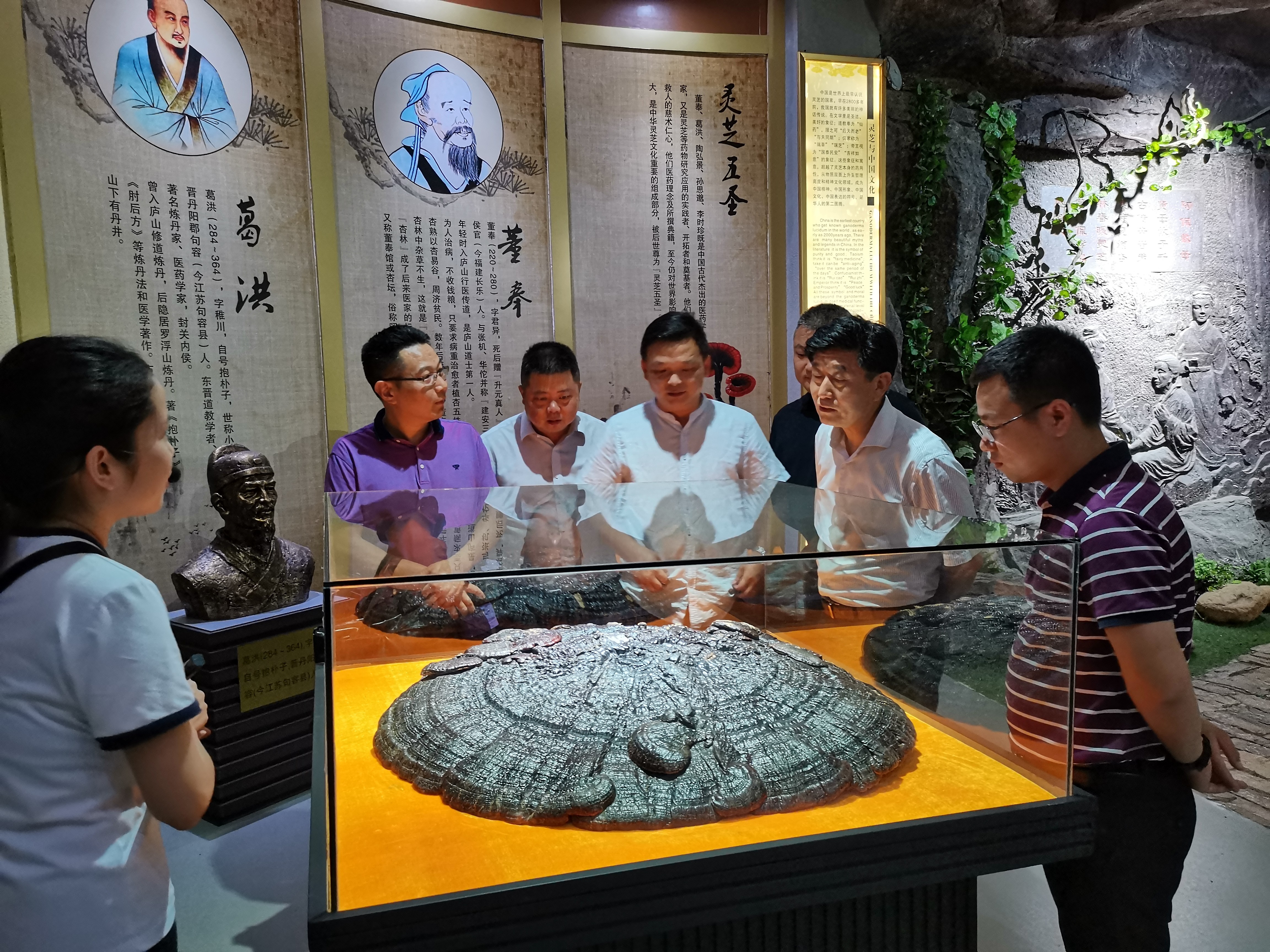 杭州亞運(yùn)會(huì)官方靈芝產(chǎn)品供應(yīng)商|杭州亞運(yùn)會(huì)官方供應(yīng)商|中國靈芝十大品牌|仙客來靈芝|仙客來靈芝破壁孢子粉|仙客來孢子油|仙客來靈芝飲片|仙客來破壁孢子粉|靈芝孢子油|孢子粉|靈芝破壁孢子粉|靈芝|中華老字號(hào)