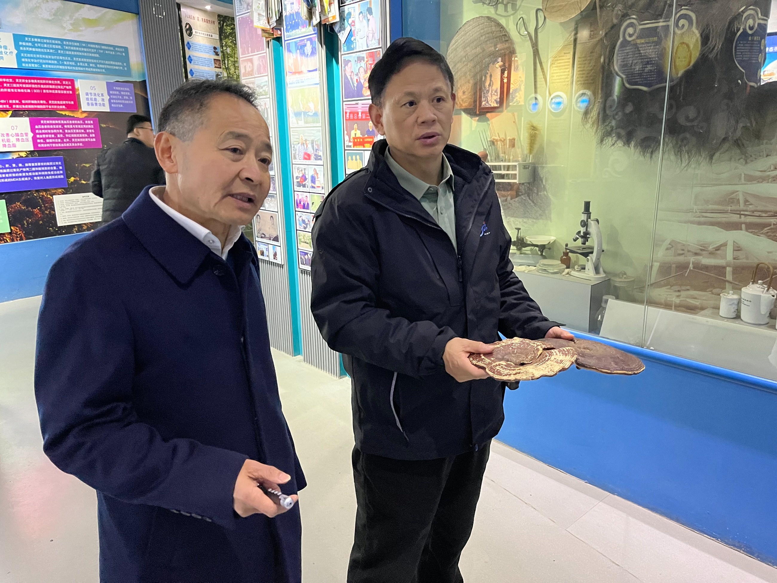 杭州亞運會官方靈芝產品供應商|杭州亞運會官方供應商|中國靈芝十大品牌|仙客來靈芝|仙客來靈芝破壁孢子粉|仙客來孢子油|仙客來靈芝飲片|仙客來破壁孢子粉|靈芝孢子油|孢子粉|靈芝破壁孢子粉|靈芝|中華老字號