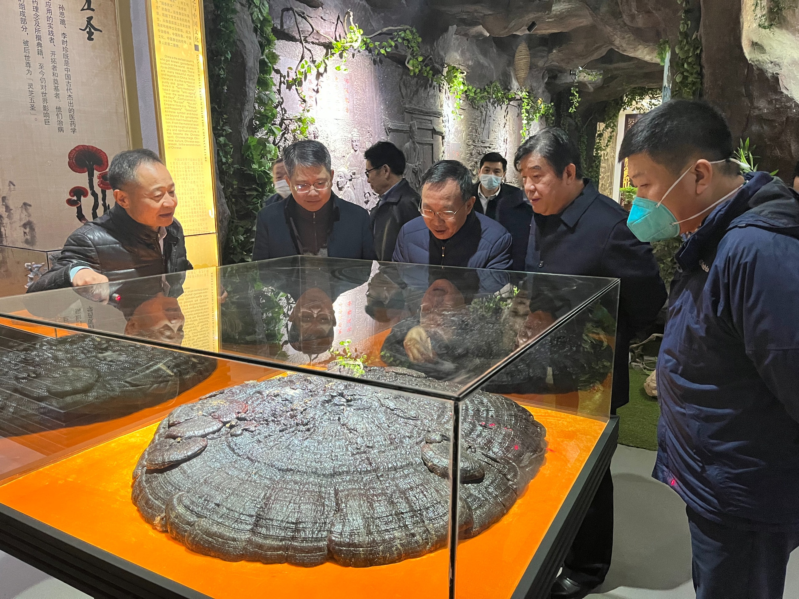 杭州亞運會官方靈芝產(chǎn)品供應(yīng)商|杭州亞運會官方供應(yīng)商|中國靈芝十大品牌|仙客來靈芝|仙客來靈芝破壁孢子粉|仙客來孢子油|仙客來靈芝飲片|仙客來破壁孢子粉|靈芝孢子油|孢子粉|靈芝破壁孢子粉|靈芝|中華老字號