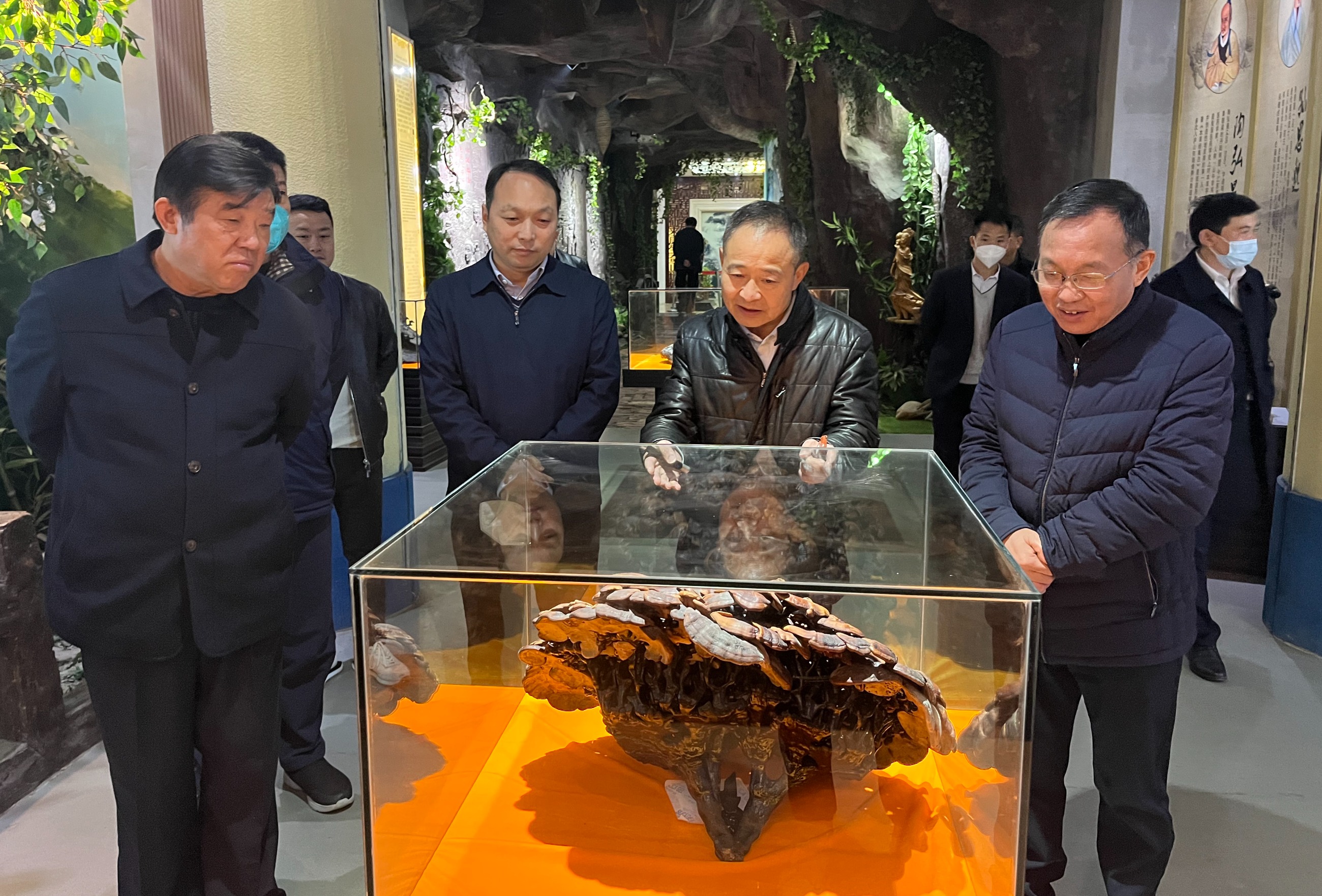 杭州亞運會官方靈芝產(chǎn)品供應(yīng)商|杭州亞運會官方供應(yīng)商|中國靈芝十大品牌|仙客來靈芝|仙客來靈芝破壁孢子粉|仙客來孢子油|仙客來靈芝飲片|仙客來破壁孢子粉|靈芝孢子油|孢子粉|靈芝破壁孢子粉|靈芝|中華老字號