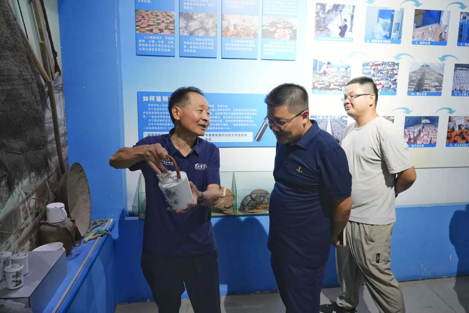 杭州亞運會官方靈芝產(chǎn)品供應商|杭州亞運會官方供應商|中國靈芝十大品牌|仙客來靈芝|仙客來靈芝破壁孢子粉|仙客來孢子油|仙客來靈芝飲片|仙客來破壁孢子粉|靈芝孢子油|孢子粉|靈芝破壁孢子粉|靈芝|中華老字號 杭州亞運會官方靈芝產(chǎn)品供應商|杭州亞運會官方供應商|中國靈芝十大品牌|仙客來靈芝|仙客來靈芝破壁孢子粉|仙客來孢子油|仙客來靈芝飲片|仙客來破壁孢子粉|靈芝孢子油|孢子粉|靈芝破壁孢子粉|靈芝|中華老字號