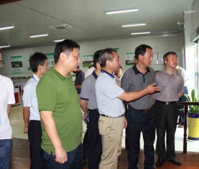 德安縣委、人大、政協(xié)領(lǐng)導(dǎo)考察仙客來公司