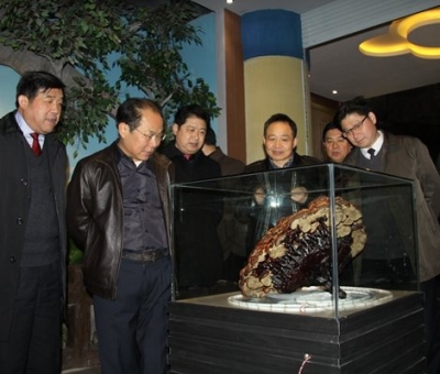 市委常委、宣傳部長(zhǎng)潘熙寧，副市長(zhǎng)盧天錫蒞臨仙客來(lái)公司走訪