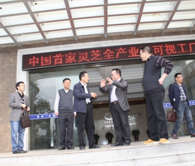 江西省國稅局領(lǐng)導(dǎo)蒞臨仙客來指導(dǎo)出口創(chuàng)匯工作