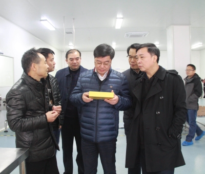 江西省檢察院黨組成員、副檢察長徐勝平一行來公司走訪調(diào)研