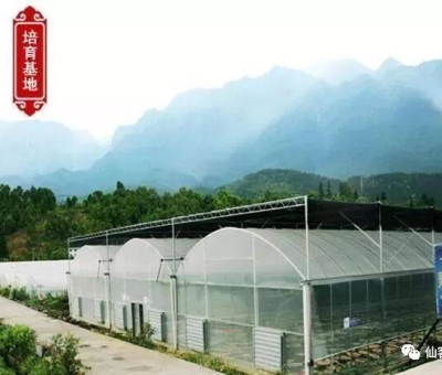 增強(qiáng)免疫力保健食品原料，它排第一