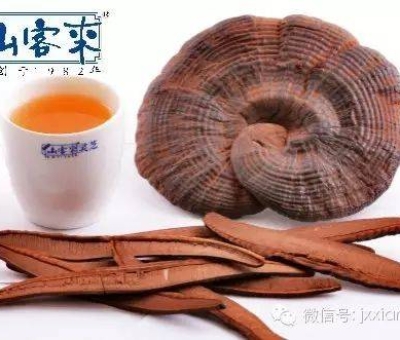 熱潮不斷！仙客來有機(jī)靈芝被點(diǎn)贊刷屏