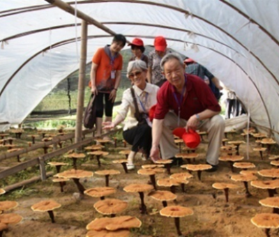 “七一勛章”獲得者張桂梅背后的故事：他們將靈芝磨成粉，送給她拌飯吃，說，吃這些能治病