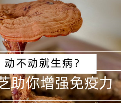 靈芝，預(yù)防您夏季上“火”