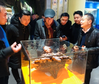 著名音樂家吳頌今參觀采風(fēng)“仙客來”