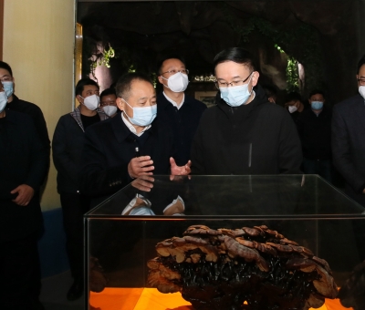 市委書(shū)記劉文華蒞臨仙客來(lái)公司調(diào)研指導(dǎo)