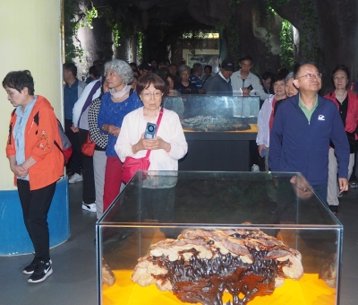 深深靈芝情！中華全國供銷合作總社再訪仙客來