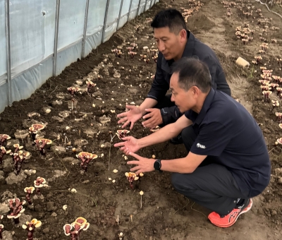 助力少數(shù)民族地區(qū)發(fā)展！潘新華應(yīng)邀前往西藏拉薩市和林芝市 共商產(chǎn)業(yè)發(fā)展良策