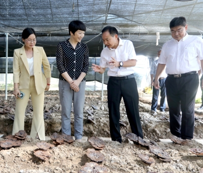江西省委常委、宣傳部部長(zhǎng)盧小青深入廬山市通書(shū)院村靈芝基地調(diào)研